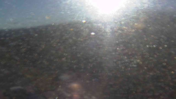 Snímek 6.11.2025 v 08:30