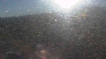 Snímek 6.11.2025 v 08:35