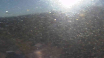 Snímek 6.11.2025 v 08:45