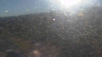 Snímek 6.11.2025 v 08:50