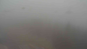 Snímek 7.11.2025 v 07:10