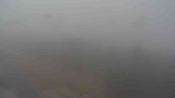 Snímek 7.11.2025 v 08:05