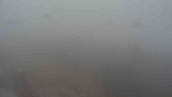 Snímek 7.11.2025 v 08:20