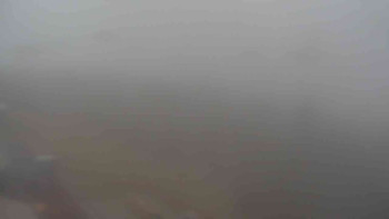 Snímek 7.11.2025 v 08:25