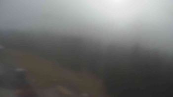 Snímek 7.11.2025 v 08:45