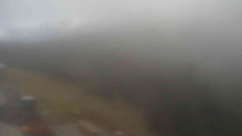 Snímek 7.11.2025 v 09:15