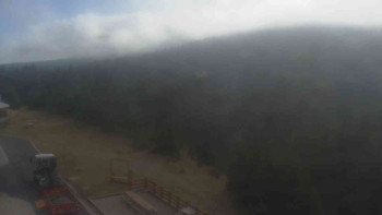 Snímek 7.11.2025 v 10:00