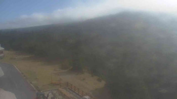 Snímek 7.11.2025 v 10:50