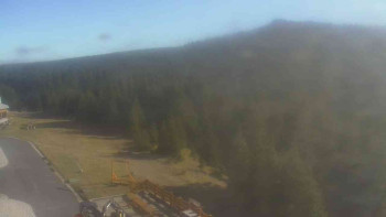 Snímek 7.11.2025 v 12:40