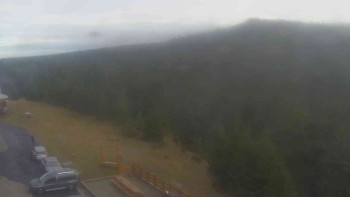 Snímek 8.11.2025 v 14:50