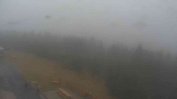 Snímek 9.11.2025 v 11:10