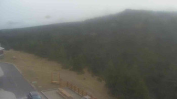 Snímek 15.11.2025 v 11:30