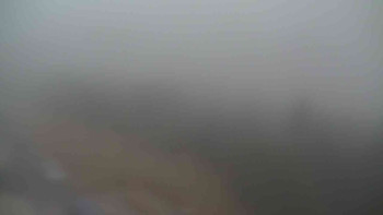 Snímek 16.11.2025 v 16:10