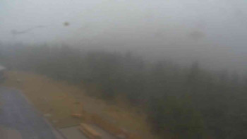 Snímek 17.11.2025 v 12:50