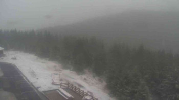 Snímek 17.11.2025 v 14:50