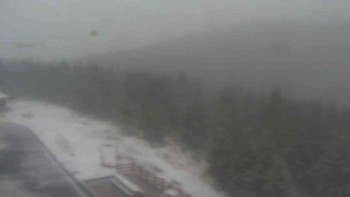 Snímek 17.11.2025 v 15:10