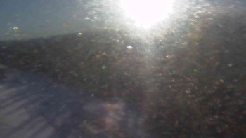 Snímek 18.11.2025 v 08:20