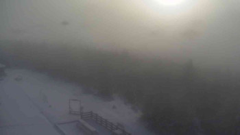 Snímek 18.11.2025 v 08:50