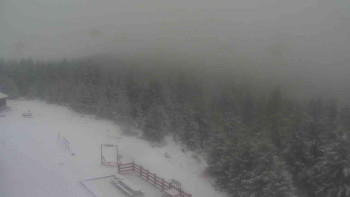 Snímek    18.11.2025 v 11:30