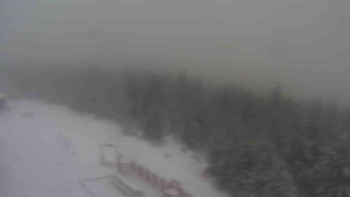 Snímek    18.11.2025 v 13:55