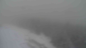 Snímek 19.11.2025 v 07:20