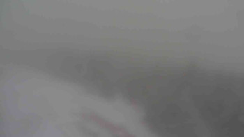 Snímek    19.11.2025 v 10:50