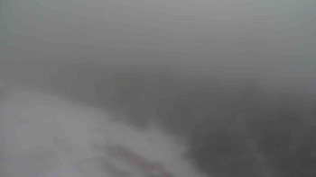 Snímek    19.11.2025 v 11:05