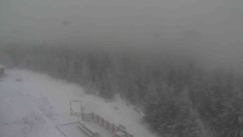 Snímek    19.11.2025 v 15:30