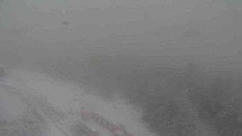 Snímek 20.11.2025 v 12:15