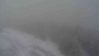 Snímek    20.11.2025 v 12:55