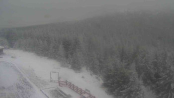 Snímek    21.11.2025 v 08:45