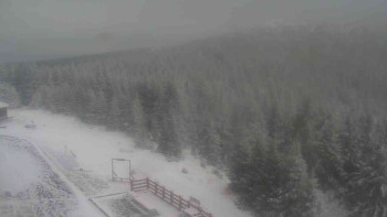 Snímek 21.11.2025 v 10:55