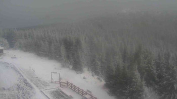 Snímek    21.11.2025 v 11:45