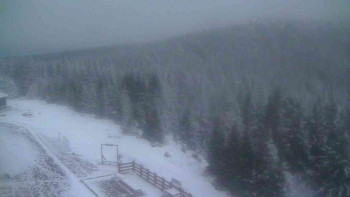 Snímek    21.11.2025 v 16:20