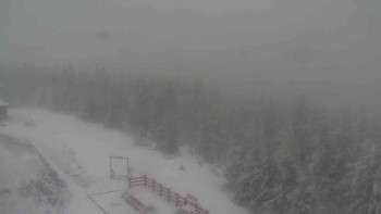 Snímek    24.11.2025 v 11:45