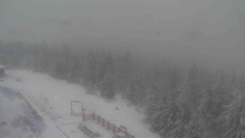 Snímek 24.11.2025 v 11:55