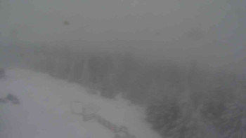 Sporthotel Kurzovní