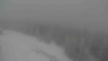 Sporthotel Kurzovní