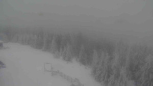 Sporthotel Kurzovní - Petrovy kameny - 31.1.2026 v 07:45 Sporthotel Kurzovní - Petrovy kameny - 31.1.2026 v 07:45