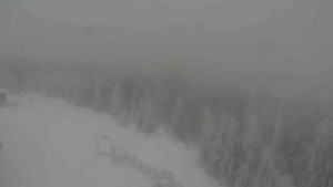 Sporthotel Kurzovní - Petrovy kameny - 31.1.2026 v 08:20 Sporthotel Kurzovní - Petrovy kameny - 31.1.2026 v 08:20