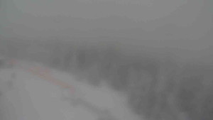 Sporthotel Kurzovní - Petrovy kameny - 31.1.2026 v 08:55 Sporthotel Kurzovní - Petrovy kameny - 31.1.2026 v 08:55