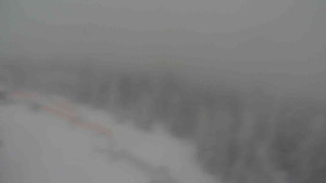 Sporthotel Kurzovní - Petrovy kameny - 31.1.2026 v 09:20 Sporthotel Kurzovní - Petrovy kameny - 31.1.2026 v 09:20