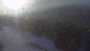 Sporthotel Kurzovní - Petrovy kameny - 4.3.2026 v 07:25 Sporthotel Kurzovní - Petrovy kameny - 4.3.2026 v 07:25