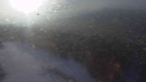 Sporthotel Kurzovní - Petrovy kameny - 4.3.2026 v 07:30 Sporthotel Kurzovní - Petrovy kameny - 4.3.2026 v 07:30