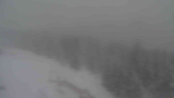 Sporthotel Kurzovní