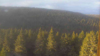 Snímek    11.5.2025 v 06:00