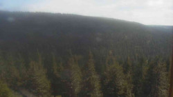 Vysoké hole