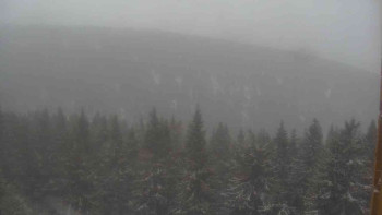 Snímek    15.5.2025 v 08:00