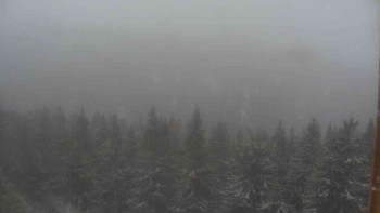 Snímek    15.5.2025 v 08:30