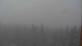 Snímek    15.5.2025 v 09:30